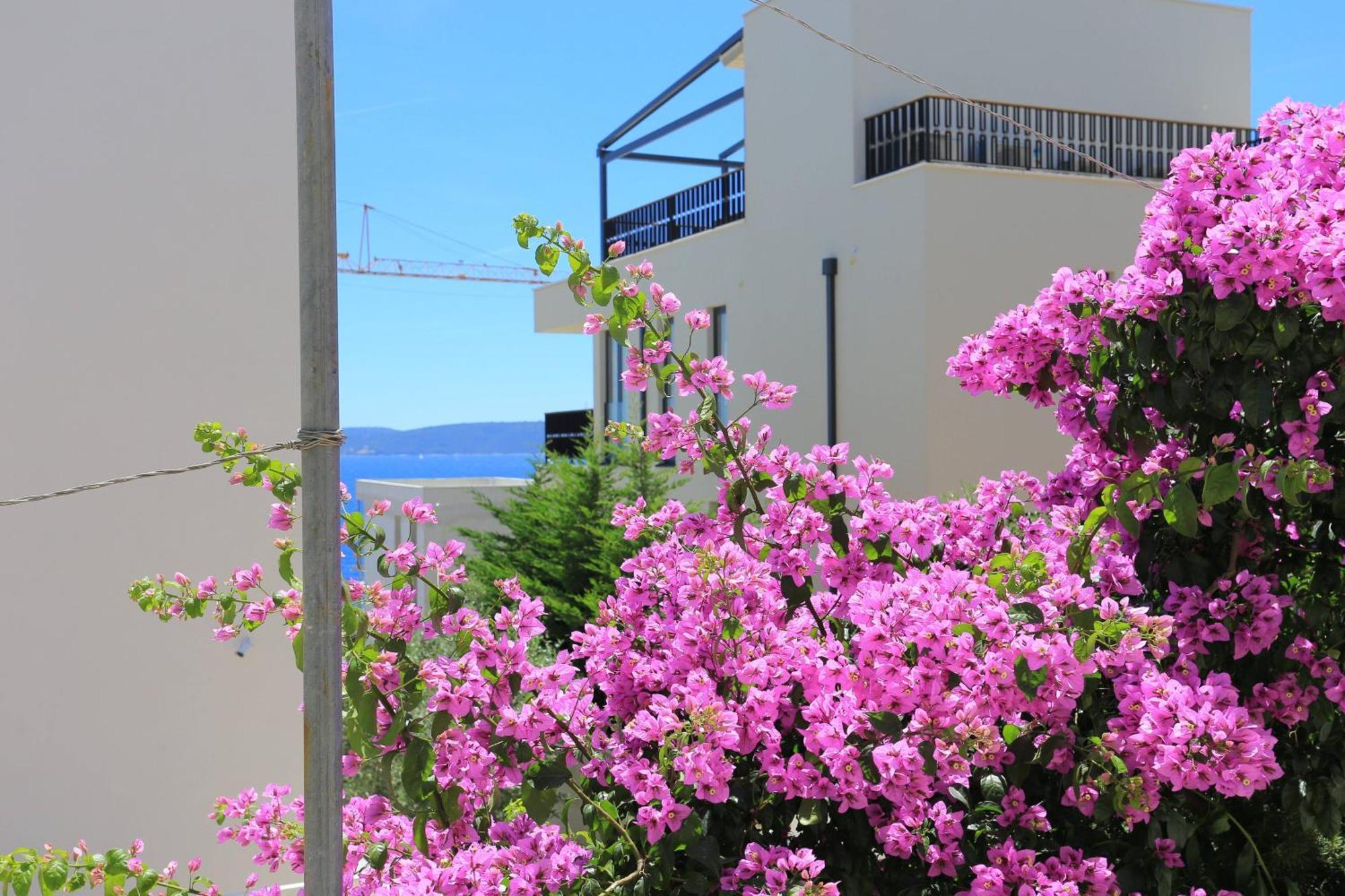 Family Friendly Apartments With A Swimming Pool Businci, Ciovo - 11232 تروغير المظهر الخارجي الصورة